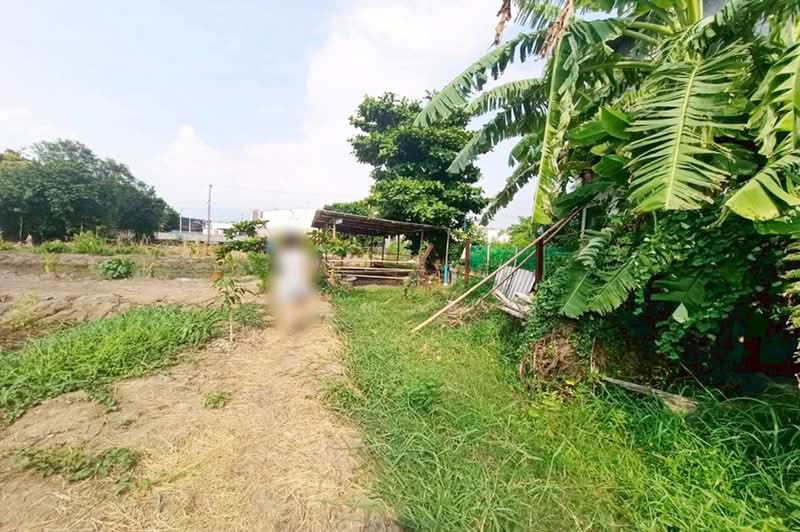สุขาประชาสรรค์ 3 ปากเกร็ด นนทบุรี, Nonthaburi, ถนนติวานนท์, Bang Phut, Pak Kret, Nonthaburi, , 784 sqm, Land For Sale, by คุณเอ๋, 500370101 - DDproperty.com