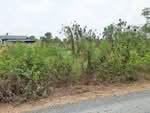 ที่ดินองครักษ์ นครนายก, นครนายก