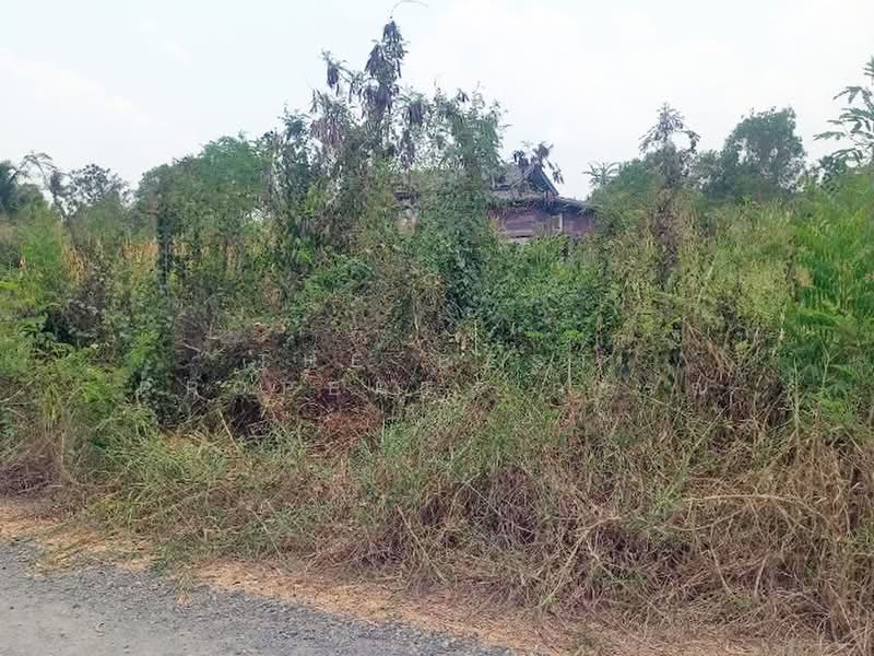 ที่ดินองครักษ์ นครนายก, Nakhon Nayok, Bung San, Ongkharak, Nakhon Nayok, , 480 sqm, Land For Sale, by The Best Property วรรณ, 500370125 - DDproperty.com