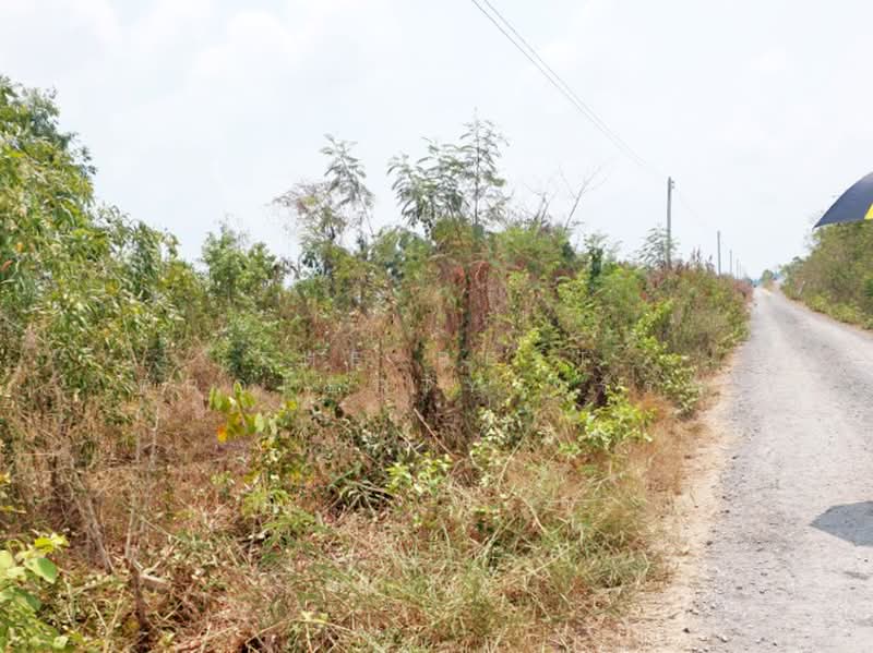 ที่ดินองครักษ์ นครนายก, Nakhon Nayok, Bung San, Ongkharak, Nakhon Nayok, , 480 sqm, Land For Sale, by The Best Property วรรณ, 500370125 - DDproperty.com