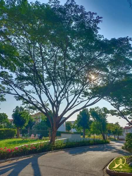 Boat House Hua Hin : โบ๊ทเฮ้าส์ หัวหิน, เพชรบุรี, 1500 ถนนเพชรเกษม (ทรายใต้), ชะอำ, เพชรบุรี, 42 ตร.ม., คอนโด ขาย, โดย Wanwisa Scopetta, 500370142 - DDproperty.com