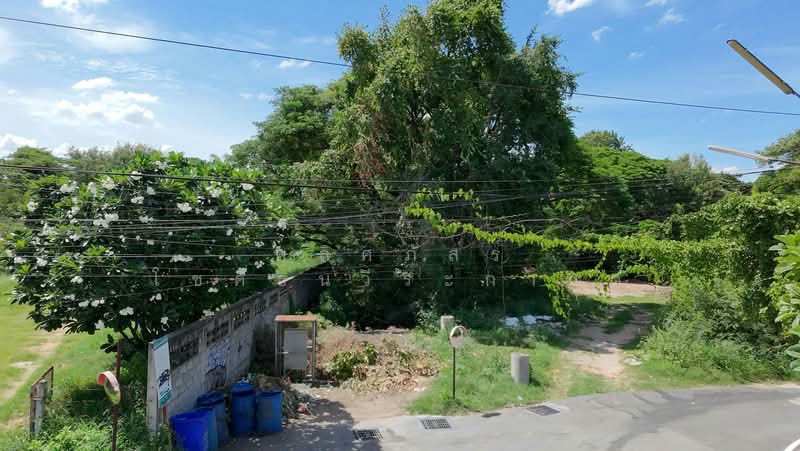 ขายที่ดินทำเลดี ราคาสุดคุ้ม ใกล้เมืองโคราช, Nakhon Ratchasima, Nai Muang, Muang Nakhon Ratchasima, Nakhon Ratchasima, , 1,404 sqm, Land For Sale, by พลิศภัสร์ โชคธนวีระกานต์, 500370170 - DDproperty.com