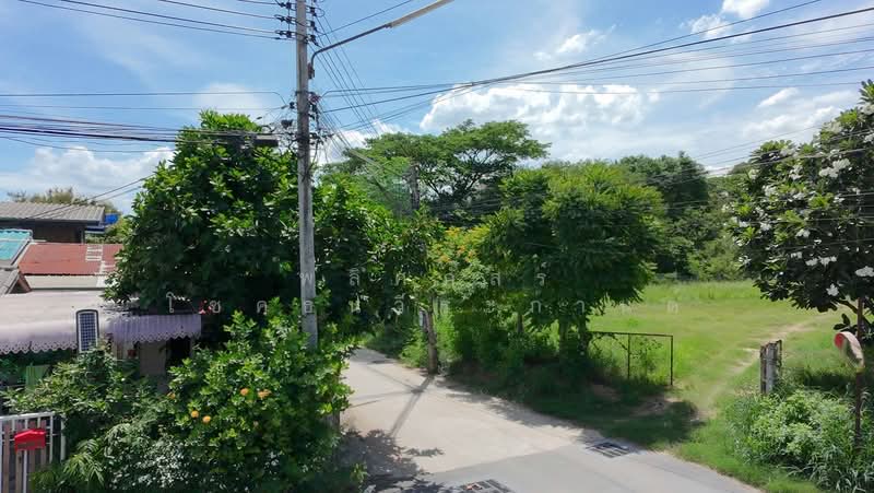ขายที่ดินทำเลดี ราคาสุดคุ้ม ใกล้เมืองโคราช, นครราชสีมา, ในเมือง, เมืองนครราชสีมา, นครราชสีมา, 1,404 ตร.ม., ที่ดิน ขาย, โดย พลิศภัสร์ โชคธนวีระกานต์, 500370170 - DDproperty.com