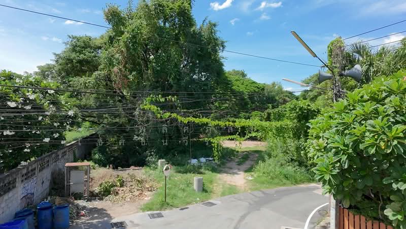 ขายที่ดินทำเลดี ราคาสุดคุ้ม ใกล้เมืองโคราช, Nakhon Ratchasima, Nai Muang, Muang Nakhon Ratchasima, Nakhon Ratchasima, , 1,404 sqm, Land For Sale, by พลิศภัสร์ โชคธนวีระกานต์, 500370170 - DDproperty.com