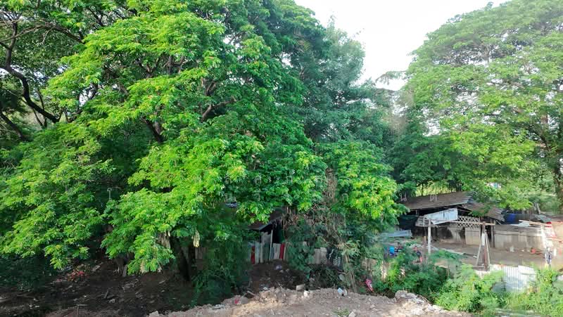 ขายที่ดินทำเลดี ราคาสุดคุ้ม ใกล้เมืองโคราช, Nakhon Ratchasima, Nai Muang, Muang Nakhon Ratchasima, Nakhon Ratchasima, , 1,404 sqm, Land For Sale, by พลิศภัสร์ โชคธนวีระกานต์, 500370170 - DDproperty.com