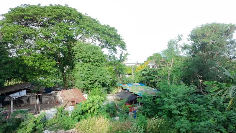 ขายที่ดินทำเลดี ราคาสุดคุ้ม ใกล้เมืองโคราช, Nakhon Ratchasima, Nai Muang, Muang Nakhon Ratchasima, Nakhon Ratchasima, , 1,404 sqm, Land For Sale, by พลิศภัสร์ โชคธนวีระกานต์, 500370170 - DDproperty.com