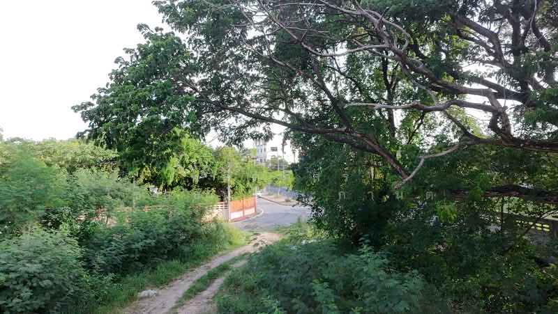 ขายที่ดินทำเลดี ราคาสุดคุ้ม ใกล้เมืองโคราช, Nakhon Ratchasima, Nai Muang, Muang Nakhon Ratchasima, Nakhon Ratchasima, , 1,404 sqm, Land For Sale, by พลิศภัสร์ โชคธนวีระกานต์, 500370170 - DDproperty.com