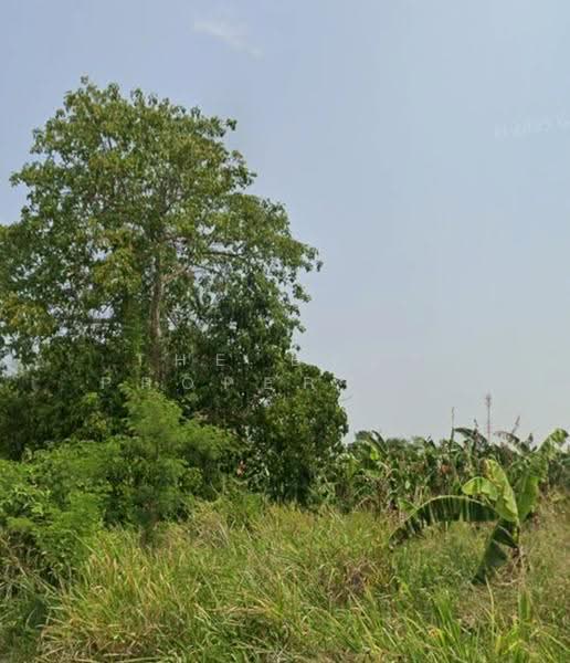 ที่ดินหัวหิน ประจวบคีรีขันธ์, Prachuap Khiri Khan, Nong Phap, Hua Hin, Prachuap Khiri Khan, , 41,460 sqm, Land For Sale, by The Best Property ต่าย, 500370260 - DDproperty.com
