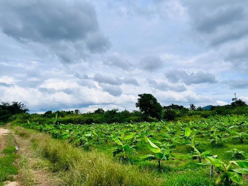 ที่ดินหัวหิน ประจวบคีรีขันธ์, Prachuap Khiri Khan, Nong Phap, Hua Hin, Prachuap Khiri Khan, , 41,460 sqm, Land For Sale, by The Best Property ต่าย, 500370260 - DDproperty.com