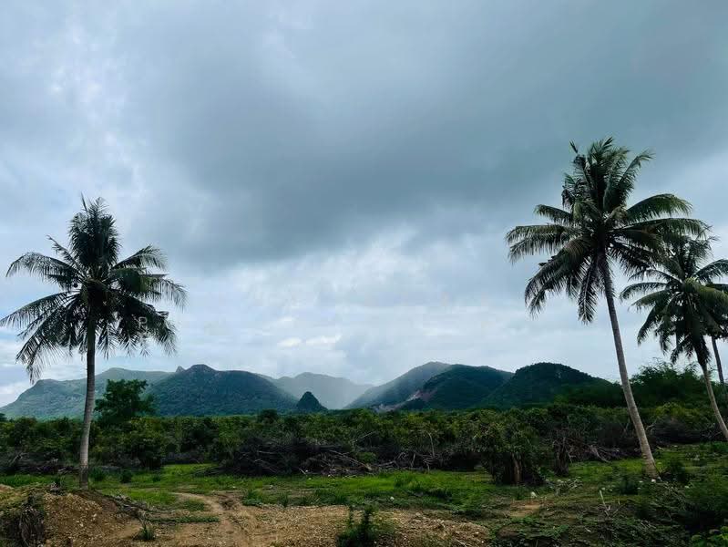 ที่ดินหัวหิน ประจวบคีรีขันธ์, Prachuap Khiri Khan, Nong Phap, Hua Hin, Prachuap Khiri Khan, , 41,460 sqm, Land For Sale, by The Best Property ต่าย, 500370260 - DDproperty.com