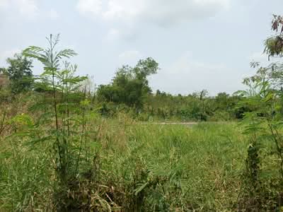 ขาย - ที่ดินองครักษ์ นครนายก, นครนายก