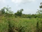 ที่ดินองครักษ์ นครนายก, นครนายก