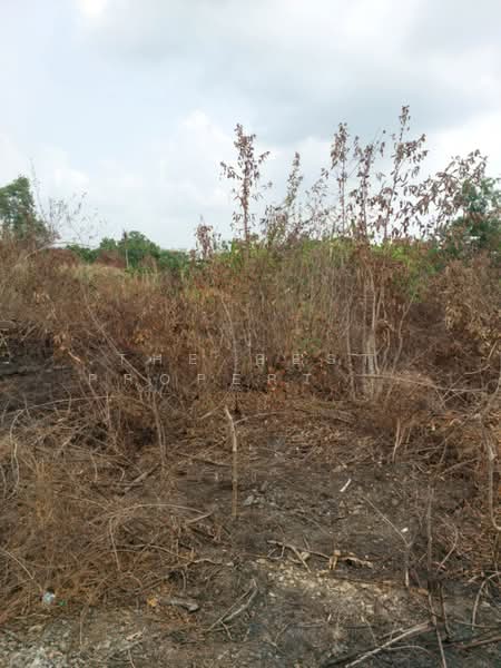 ที่ดินองครักษ์ นครนายก, Nakhon Nayok, Bung San, Ongkharak, Nakhon Nayok, , 480 sqm, Land For Sale, by The Best Property วรรณ, 500370289 - DDproperty.com