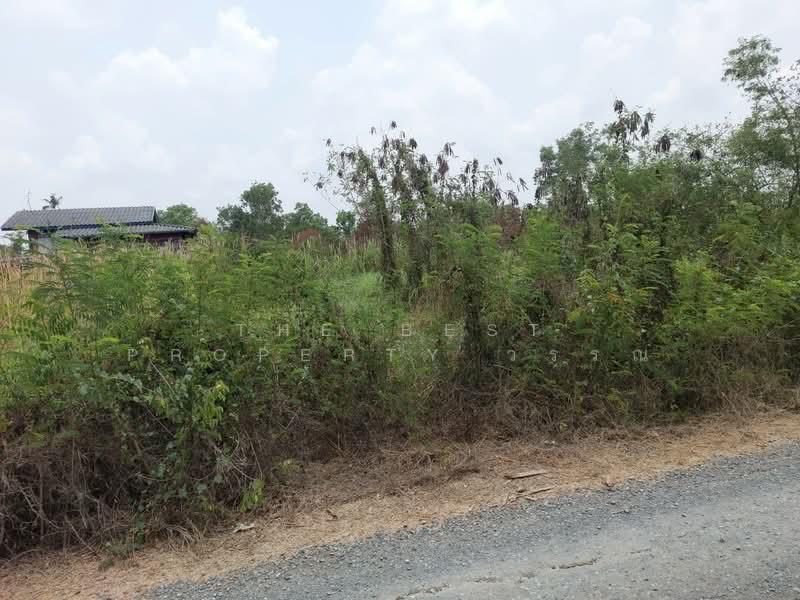 ที่ดินองครักษ์ นครนายก, Nakhon Nayok, Bung San, Ongkharak, Nakhon Nayok, , 480 sqm, Land For Sale, by The Best Property วรรณ, 500370289 - DDproperty.com