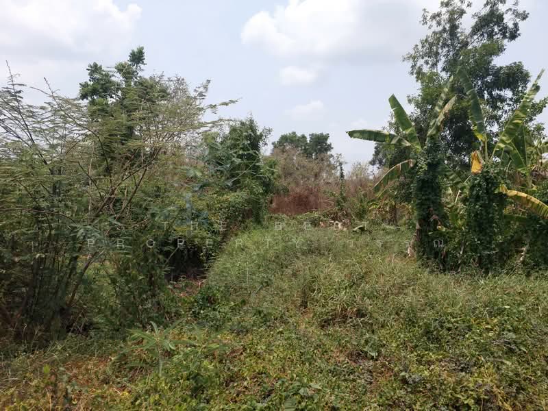 ที่ดินองครักษ์ นครนายก, Nakhon Nayok, Bung San, Ongkharak, Nakhon Nayok, , 480 sqm, Land For Sale, by The Best Property วรรณ, 500370289 - DDproperty.com