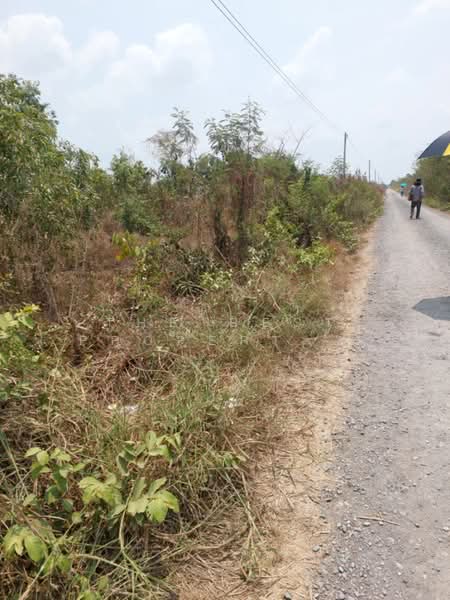 ที่ดินองครักษ์ นครนายก, Nakhon Nayok, Bung San, Ongkharak, Nakhon Nayok, , 480 sqm, Land For Sale, by The Best Property วรรณ, 500370289 - DDproperty.com