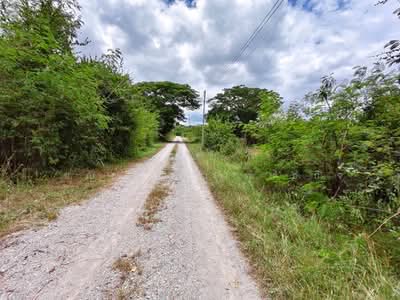 ขาย - ขายที่ดินถมแล้ว 148 ตร.ว. ทำเลหินเหล็กไฟ หัวหิน ใกล้สนามกอล์ฟแบล็คเมาเท่น พร้อมโอน!, ประจวบคีรีขันธ์