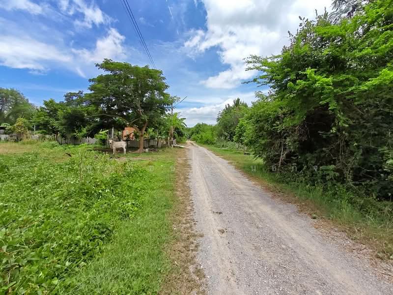 ขายที่ดินถมแล้ว 148 ตร.ว. ทำเลหินเหล็กไฟ หัวหิน ใกล้สนามกอล์ฟแบล็คเมาเท่น พร้อมโอน!, Prachuap Khiri Khan, Hin Lek Fai, Hua Hin, Prachuap Khiri Khan, , 592 sqm, Land For Sale, by ชญาพิชชา พันธกิจ, 500370314 - DDproperty.com
