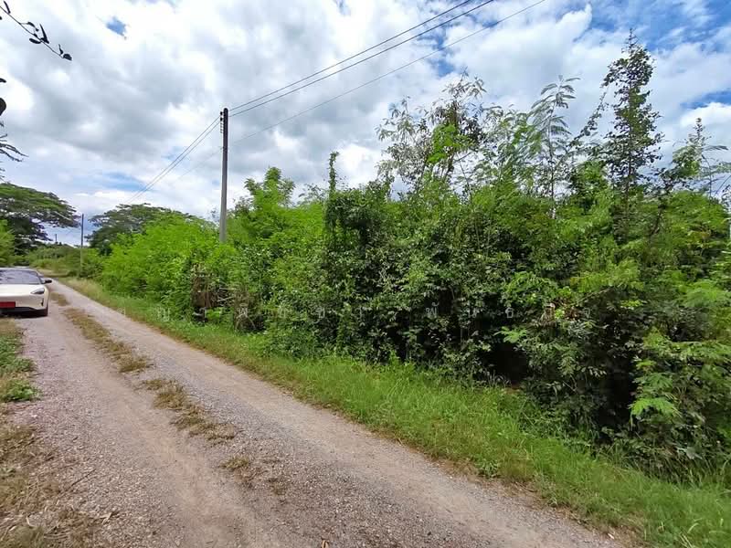ขายที่ดินถมแล้ว 148 ตร.ว. ทำเลหินเหล็กไฟ หัวหิน ใกล้สนามกอล์ฟแบล็คเมาเท่น พร้อมโอน!, ประจวบคีรีขันธ์, หินเหล็กไฟ, หัวหิน, ประจวบคีรีขันธ์, 592 ตร.ม., ที่ดิน ขาย, โดย ชญาพิชชา พันธกิจ, 500370314 - DDproperty.com