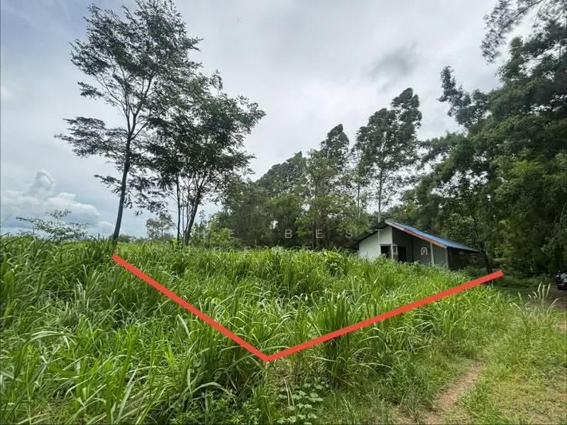 ที่ดินบ้านบึง ชลบุรี, ชลบุรี, หนองอิรุณ, บ้านบึง, ชลบุรี, 400 ตร.ม., ที่ดิน ขาย, โดย The Best Property นิด, 500370331 - DDproperty.com