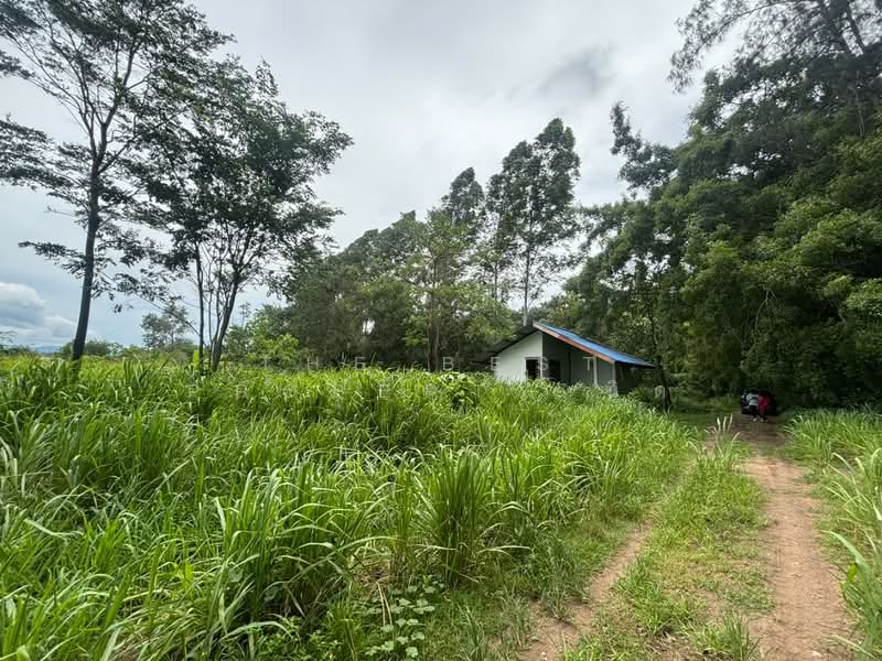 ที่ดินบ้านบึง ชลบุรี, ชลบุรี, หนองอิรุณ, บ้านบึง, ชลบุรี, 400 ตร.ม., ที่ดิน ขาย, โดย The Best Property นิด, 500370331 - DDproperty.com