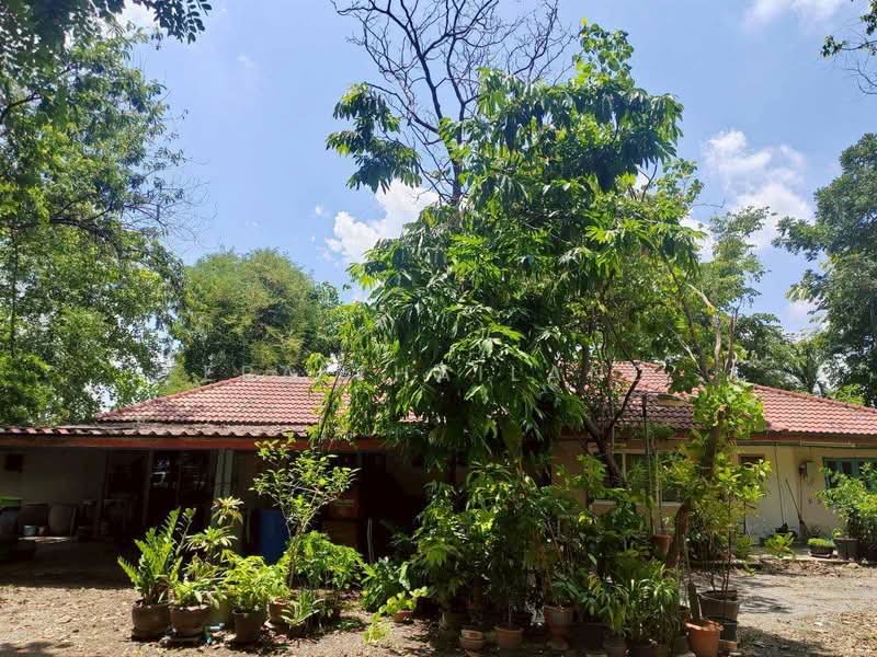 พุแค, Saraburi, Phu Khae, Chalermphrakiet, Saraburi, , 9,076 sqm, Land For Sale, by ERA Thailand, 500370447 - DDproperty.com