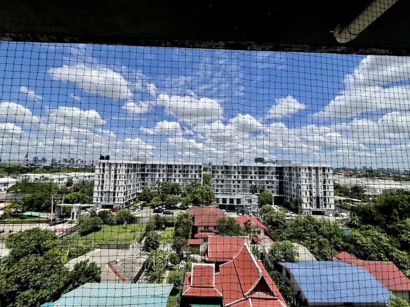 Hallmark Ngamwongwan, Nonthaburi, Nonthaburi Road, Bang Khen, Muang Nonthaburi, Nonthaburi, 1 Bedroom, 28 sqm, Condo For Sale, by คุณกัปตัน, 500370541 - DDproperty.com