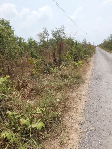 ที่ดินองครักษ์ นครนายก, Nakhon Nayok, Bung San, Ongkharak, Nakhon Nayok, , 960 sqm, Land For Sale, by The Best Property วรรณ, 500370544 - DDproperty.com