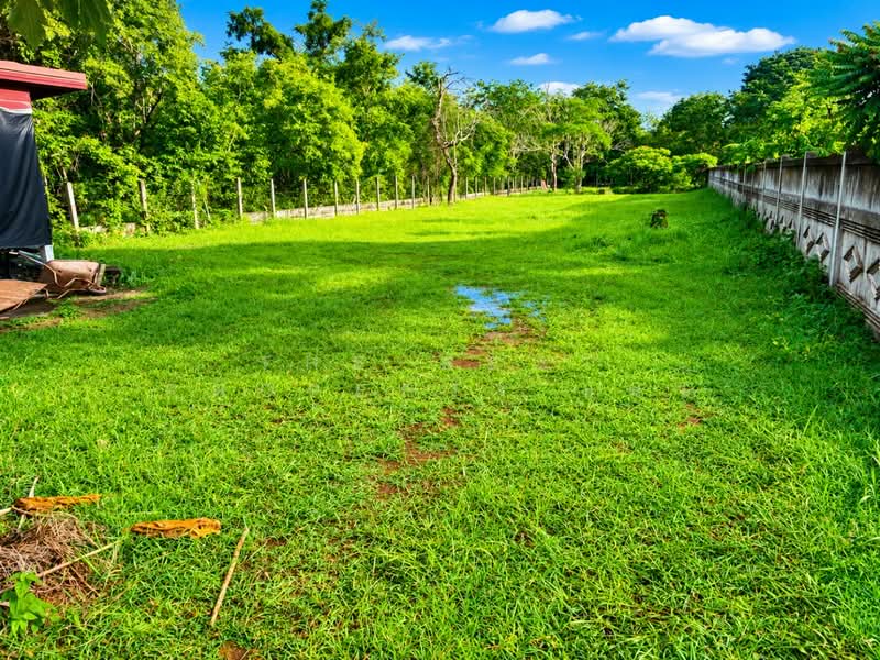 อพาร์ทเม้นท์เชียงเครือ สกลนคร, Sakon Nakhon, Chiang Khrua, Muang Sakon Nakhon, Sakon Nakhon, , 150 sqm, Business For Sale, by The Best Property แมว, 500370560 - DDproperty.com