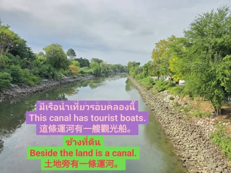 ขายที่ดิน 12 ไร่ ตำบลเชิงเนิน อำเภอเมือง จังหวัดระยอง, ระยอง, เชิงเนิน, เมืองระยอง, ระยอง, 19,544 ตร.ม., ที่ดิน ขาย, โดย คุณรินดา, 500370612 - DDproperty.com