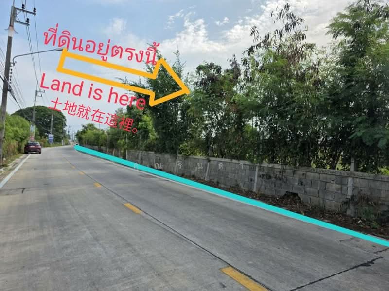 ที่ดินลงทุนระดับพรีเมียม ทำเลหายาก ใกล้ทะเล!! วิวสวยที่สุดแห่งหนึ่งของเมือง ขายที่ดิน 12 ไร่, ระยอง, เชิงเนิน, เมืองระยอง, ระยอง, 19,544 ตร.ม., ที่ดิน ขาย, โดย คุณรินดา, 500370612 - DDproperty.com