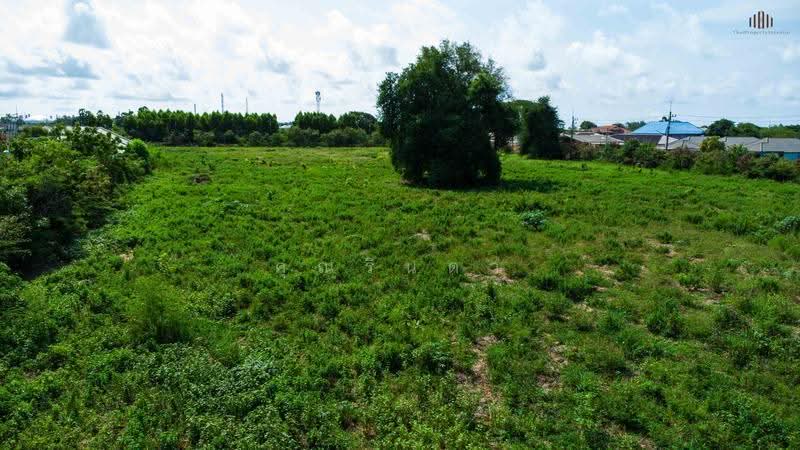 Land for sale: 12 rai in Choeng Noen Subdistrict, Mueang District, Rayong Province, rayong, Choeng Noen, Muang Rayong, Rayong, , 19,544 sqm, Land For Sale, by คุณรินดา, 500370612 - DDproperty.com