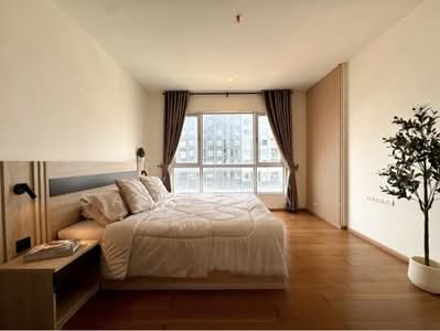 ขาย - HIVE Taksin : ไฮฟ์ ตากสิน, กรุงเทพ