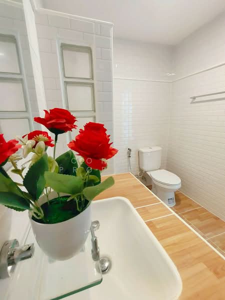 Wararak Rangsit Klong 3, Pathum Thani, Khlong Sam, Khlong Luang, Pathum Thani, 2 Bedrooms, 80 sqm, Single Detached House For Sale, by Connex Property, 500370841 - DDproperty.com