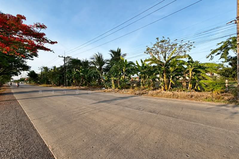 14.07187587,100.80150151, ปทุมธานี, รังสิต-นครนายก คลอง9, บึงบา, หนองเสือ, ปทุมธานี, 7,820 ตร.ม., ที่ดิน ขาย, โดย สง่าชัย ไทรทองคำ, 500370857 - DDproperty.com
