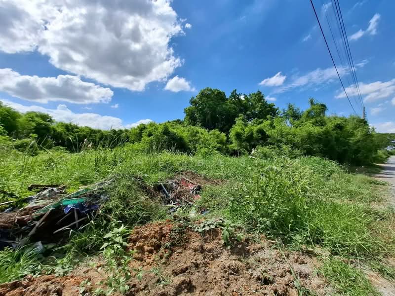 ที่ดินไทรน้อย นนทบุรี, Nonthaburi, Thawi Watthana, Sai Noi, Nonthaburi, , 204 sqm, Land For Sale, by The Best Property กรณ์, 500370862 - DDproperty.com