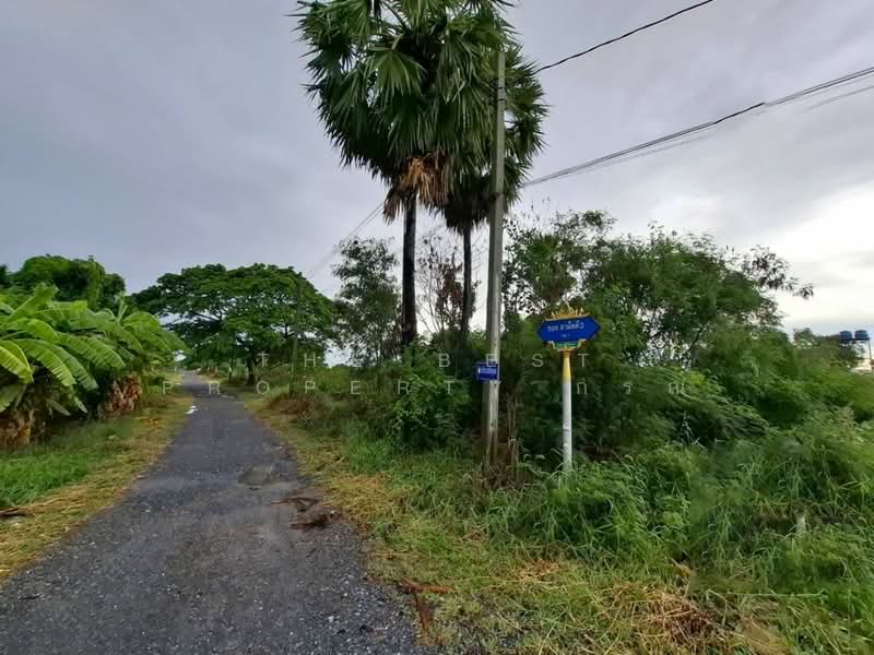 ที่ดินไทรน้อย นนทบุรี, Nonthaburi, Thawi Watthana, Sai Noi, Nonthaburi, , 204 sqm, Land For Sale, by The Best Property กรณ์, 500370862 - DDproperty.com