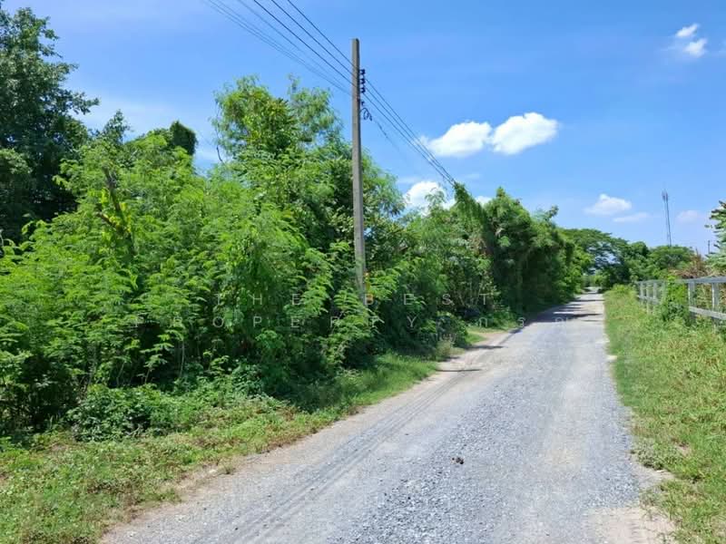 ที่ดินไทรน้อย นนทบุรี, Nonthaburi, Thawi Watthana, Sai Noi, Nonthaburi, , 204 sqm, Land For Sale, by The Best Property กรณ์, 500370862 - DDproperty.com