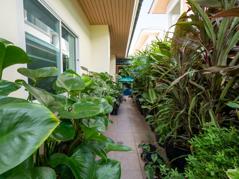 หงส์ประยูร 3, Nonthaburi, บางกรวย-ไทรน้อย, Bang Rak Pattana, Bang Bua Thong, Nonthaburi, 3 Bedrooms, 170 sqm, Semi-Detached House (Twin House) For Sale, by TITISAK Jane, 500371107 - DDproperty.com