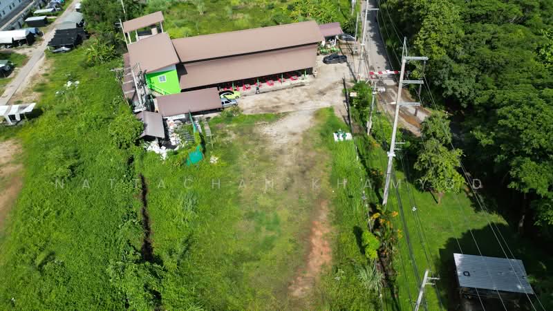 Land with buildings opposite Mae Fah Luang University, Chiang Rai, , Tha Sud, Muang Chiang Rai, Chiang Rai, , 3,200 sqm, Retail Space For Sale, by Nattachan Khamyod, 500371108 - DDproperty.com