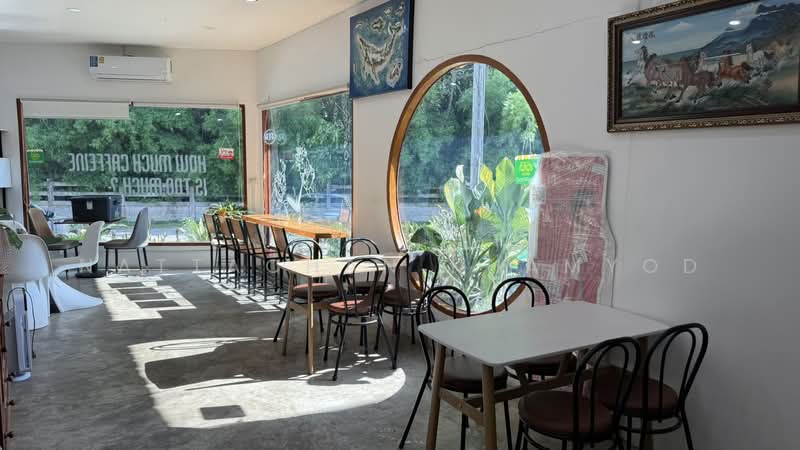 Land with buildings opposite Mae Fah Luang University, Chiang Rai, , Tha Sud, Muang Chiang Rai, Chiang Rai, , 3,200 sqm, Retail Space For Sale, by Nattachan Khamyod, 500371108 - DDproperty.com