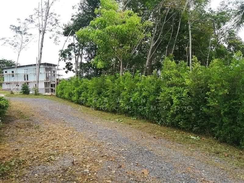 ป่าคลอก, ภูเก็ต, ป่าคลอก, ถลาง, ภูเก็ต, 588 ตร.ม., ที่ดิน ขาย, โดย Orawan Nueangchompoo, 500371167 - DDproperty.com