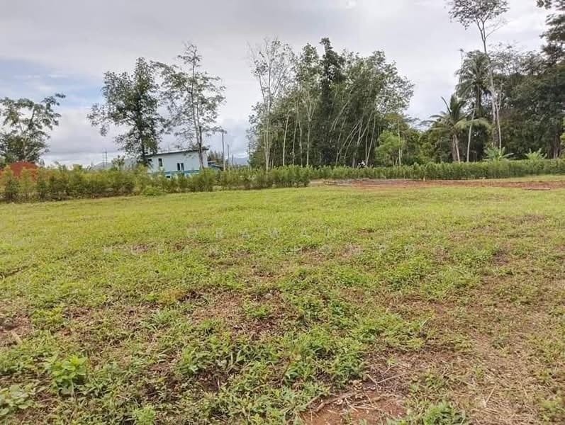ป่าคลอก, ภูเก็ต, ป่าคลอก, ถลาง, ภูเก็ต, 588 ตร.ม., ที่ดิน ขาย, โดย Orawan Nueangchompoo, 500371167 - DDproperty.com