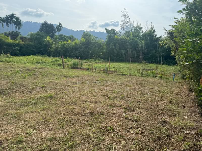 ป่าคลอก, ภูเก็ต, ป่าคลอก, ถลาง, ภูเก็ต, 588 ตร.ม., ที่ดิน ขาย, โดย Orawan Nueangchompoo, 500371167 - DDproperty.com