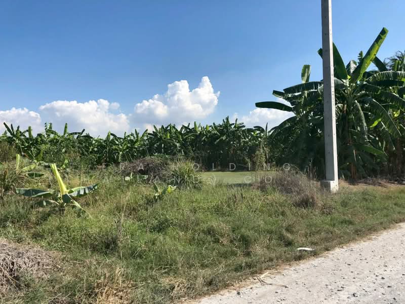 ใกล้ศาลายา วัดป่าศรีถาวรคลองโยง, Nakhon Pathom, Khlong Yong, Phuttha Mon Thon, Nakhon Pathom, , 1,440 sqm, Land For Sale, by ERA Holding (Thailand) Co., Ltd., 500371381 - DDproperty.com