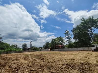 ขาย - ที่ดินสารภี, เชียงใหม่