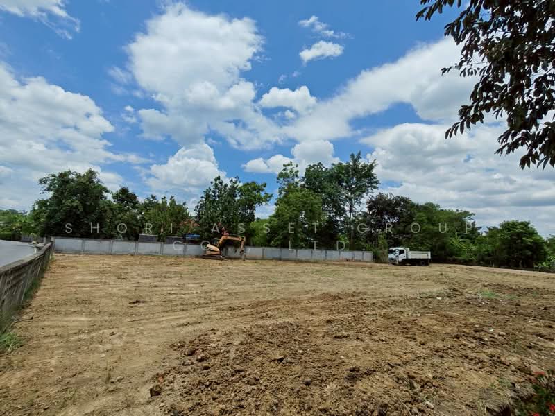 Saraphi Land, Chiang Mai, Saraphi, Saraphi, Chiang Mai, , 1,512 sqm, Land For Sale, by Shori Asset Group Co., Ltd., 500371425 - DDproperty.com