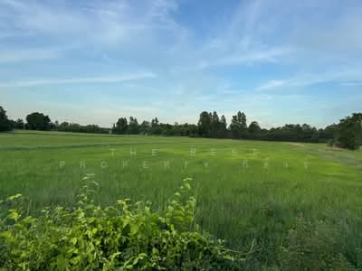ขาย - ที่ดิน\บ้านโพธิ์ ฉะเชิงเทรา, ฉะเชิงเทรา