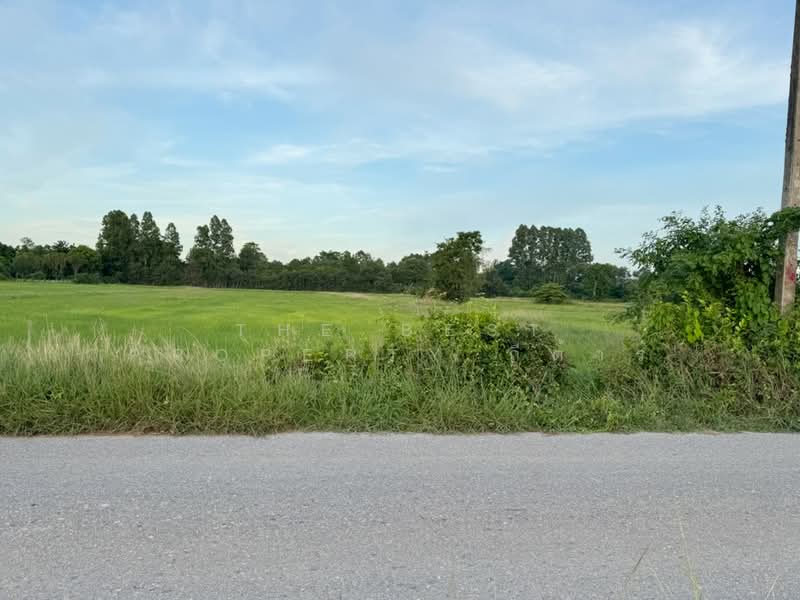 ที่ดิน\บ้านโพธิ์ ฉะเชิงเทรา, Chachoengsao, Laem Pradu, Ban Pho, Chachoengsao, , 8,000 sqm, Land For Sale, by The Best Property กีต้าร์, 500371448 - DDproperty.com