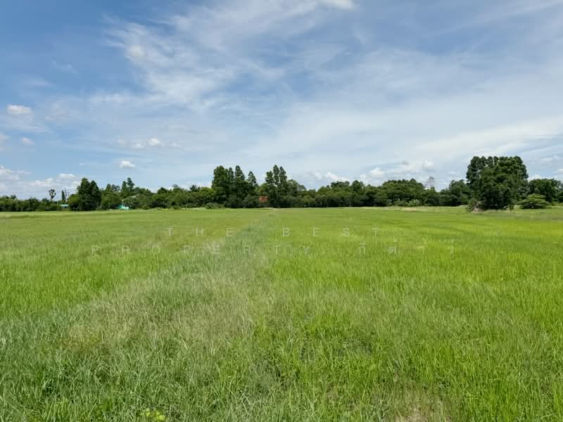ที่ดิน\บ้านโพธิ์ ฉะเชิงเทรา, Chachoengsao, Laem Pradu, Ban Pho, Chachoengsao, , 8,000 sqm, Land For Sale, by The Best Property กีต้าร์, 500371448 - DDproperty.com